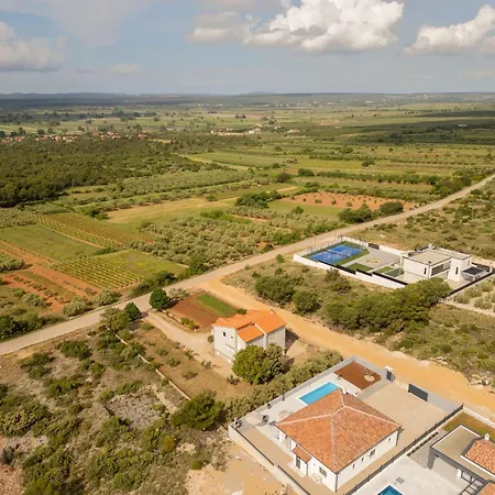Miki Zadarvillas *